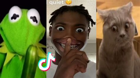 memes de tik tok